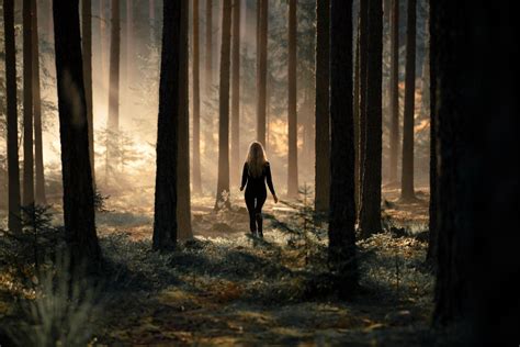 Women Blonde Walking The Gap Women Outdoors Forest Trees Mist