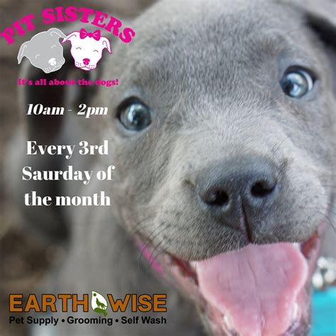 Ramada hotel & conference center by wyndham jacksonville. Pit Sisters Monthly Adoption Event at EarthWise Pet Supply ...