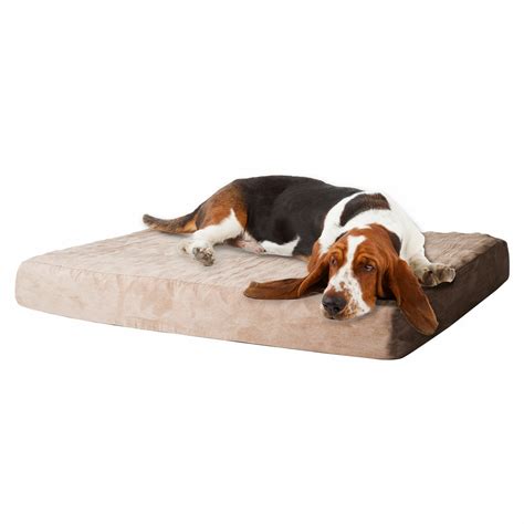 Paw Memory Foam Dog Bed With Removable Cover And Reviews Wayfair