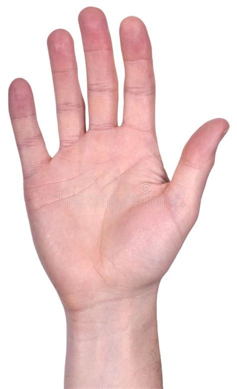 Open Hand Palm To Camera With Fingers Isolated Man Or Male Open Hand