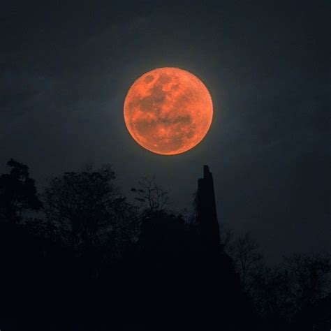 What Januarys Lunar Eclipse Super Blood Wolf Moon Means For You