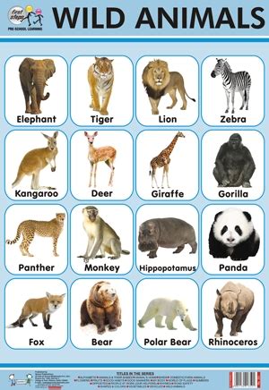 Your child will learn animal names, the names of baby animals, occasionally the scientific name of the animal, and most importantly, why animals are so lovable. Wild Animals Chart in Rithala, Delhi | Quixot Multimedia ...