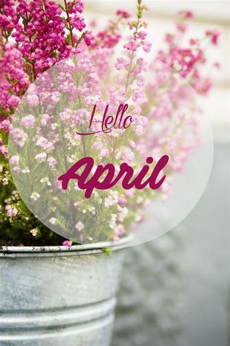 Hello April Pictures Photos And Images For Facebook