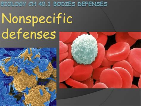 Ppt Biology Ch 40 1 Bodies Defenses Powerpoint Presentation Free Download Id 2000647
