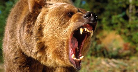A Wall Street Bear Warns Bad Things Are About To Happen And A