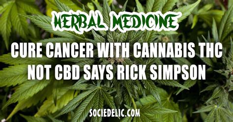 Cure Cancer With Cannabis THC, Not CBD Says Rick Simpson