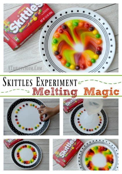 Skittles Experiment Melting Magic Quick And Easy Science Projects For