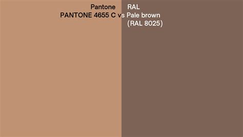 Pantone 4655 C Vs Ral Pale Brown Ral 8025 Side By Side Comparison