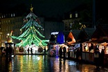 Discover the Metz Christmas Market in Lorraine - French Moments