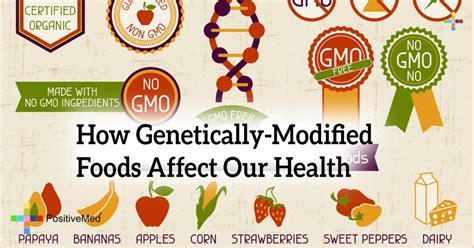 How Genetically Modified Foods Affect Our Health