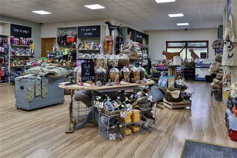 For Sale Stunning Boutique Pet Shop And Dog Grooming Spa Quickmarket