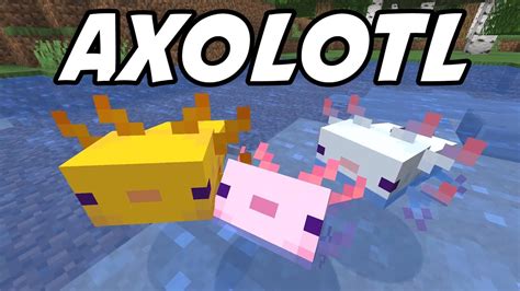 Playing With The Axolotl Mob Minecraft 117 Snapshot 20w51a Youtube