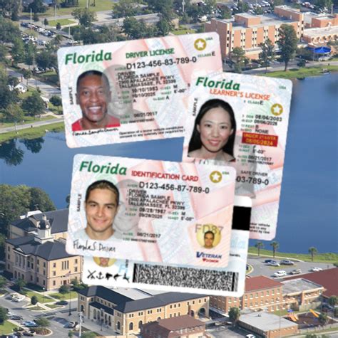 New Florida Resident Information Polk County Tax Collector
