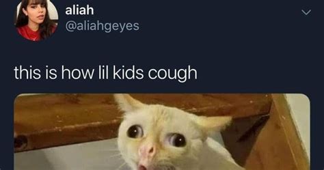 This Is How Little Kids Cough Cat Face