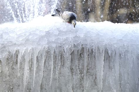 Winter Storm Kills 5 In Northeast More Storms Expected