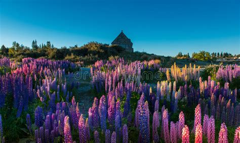 Beautiful Landscape New Zealand Stock Image Image Of Peak Landmark