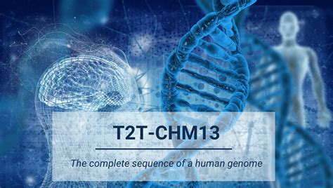 Gapless Telomere To Telomere Human Genome T2t Chm13 Now Available