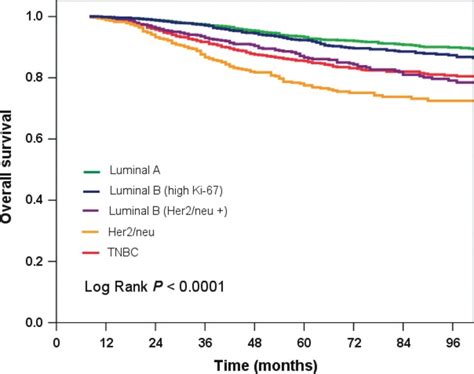 Kaplanmeier Overall Survival By Breast Cancer Subtypes 5 Year Overall