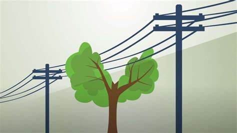 Distribution Power Line Tree Clearance Lgande And Ku