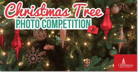 Run A Christmas Photo Contest To Boost Engagement And Incentivize Sales