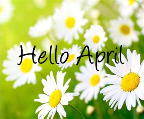 Hello April Hello April Hello April