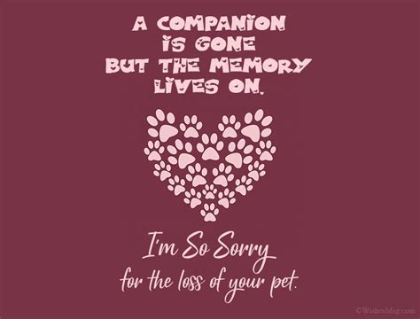 80 Sympathy Messages For The Loss Of A Pet Wishesmsg