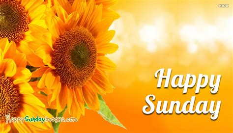 Happy Sunday Images For Facebook Love You With Sunflowers Wallpaperuse
