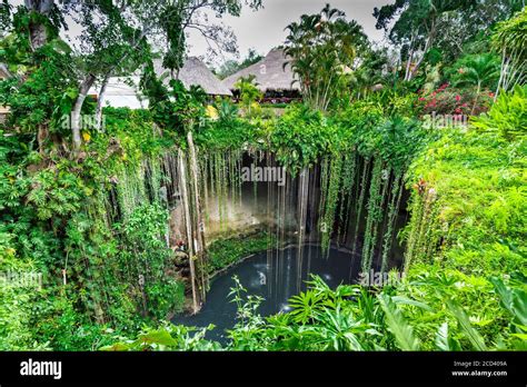 Cenote Fotos Und Bildmaterial In Hoher Auflösung Alamy