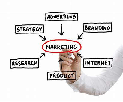 Marketing Strategy Consultant Advertising Market Consulting Plan