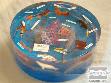 Ocean Food Chain Diorama Made With Encapso K