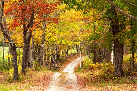 The Best Places To View Fall Foliage Stories From Vt