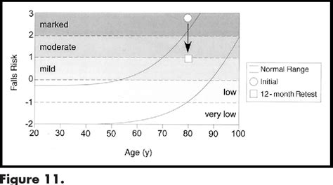 Pdf A Physiological Profile Approach To Falls Risk Assessment And