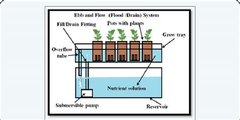 Shows The Ebb And Flow Flood And Drain System Download Scientific