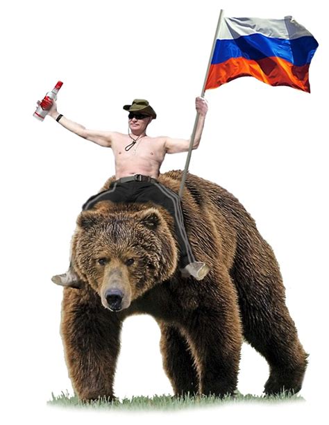 The original picture is oh him riding a horse and they photo shopped that into him riding a bear. "Putin Vodka Bear Tracksuit Hardbass" by Dipardiou | Redbubble