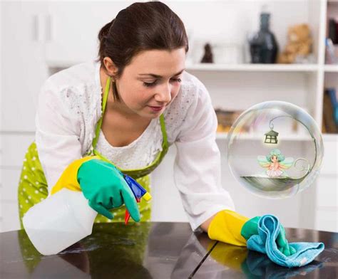 What Should A Cleaning Lady Do What To Expect From A Professional