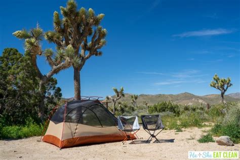 Top 3 Hikes In Joshua Tree National Park