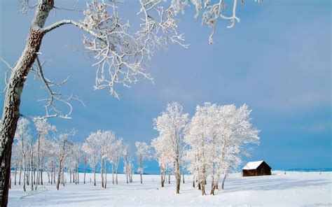 Free Download Beautiful Winter Scene 4k Hd Desktop Wallpaper For 4k