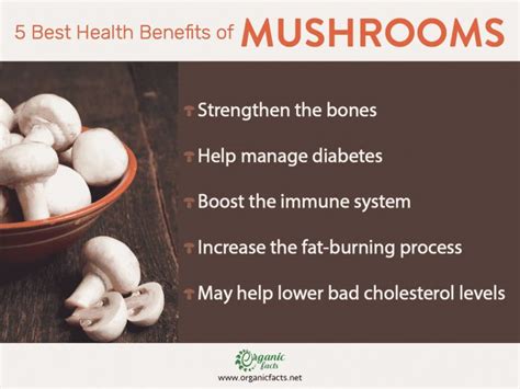 Mushroom Top Benefits And Side Effects Organic Facts