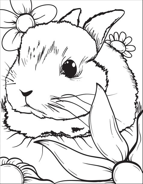 Free Printable Bunny Rabbit Coloring Page For Kids 3 Supplyme