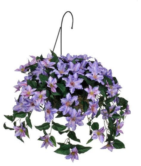 We did not find results for: Artificial Purple Clematis in Water Hyacinth Hanging ...