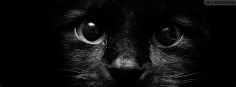 Black Cat Face Facebook Cover