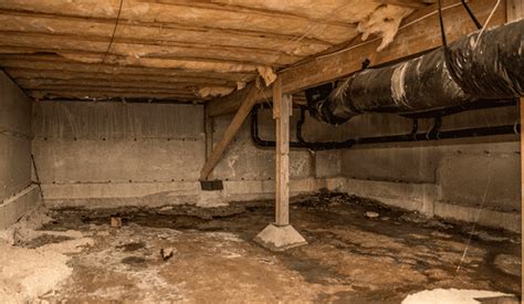 Which Is Better Crawl Space Or Basement - Openbasement