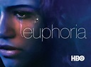 Euphoria Serial Online Subtitrat