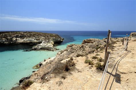 Come Arrivare All Isola Dei Conigli Isola Dei Conigli Lampedusa