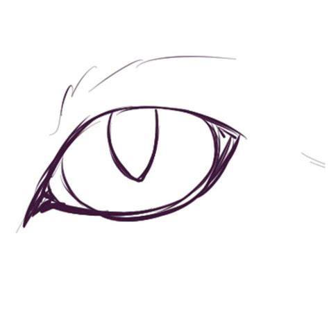 Cat Eye Drawing Reference Cats Blog