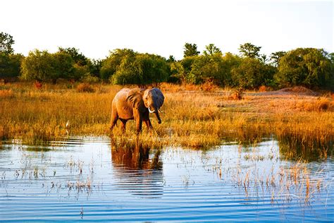 8 Best Lakes In Africa