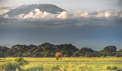 Amboseli Lnaivasha And Masai Mara 6 Days 5 Nights Casolodge Travels