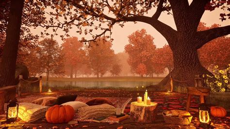 Cozy Autumn Ambience Relax Under The Autumn Trees In The Forest