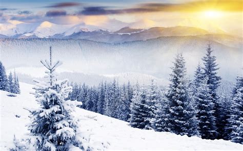 10 Most Popular Winter Scenes Wallpaper For Computer Full Hd 1080p For