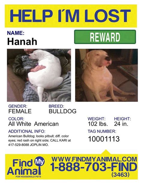 Dog Friends Plz Rt For Hanah Shes Still Missing White